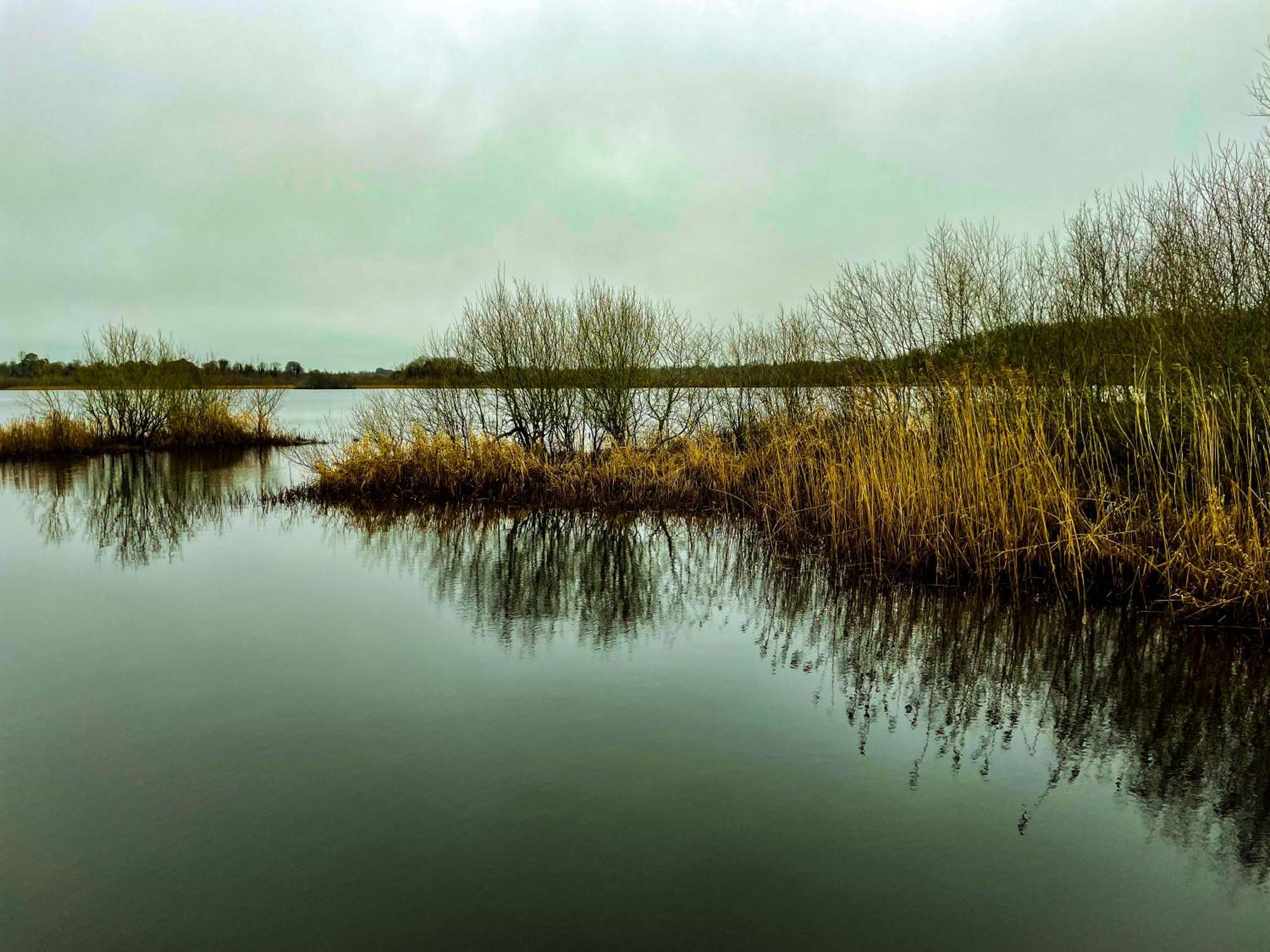 Lough Rynn Rental Mohill المظهر الخارجي الصورة